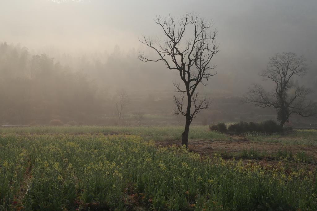ชิง เหอ เยว่ โฮสเทล Yi (Anhui) ภายนอก รูปภาพ